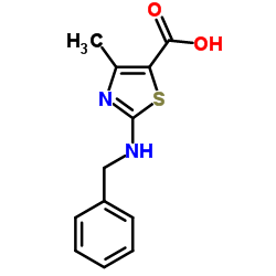 2-(Benzylamino)-4-methyl-1,3-thiazole-5-carboxylic acid结构式