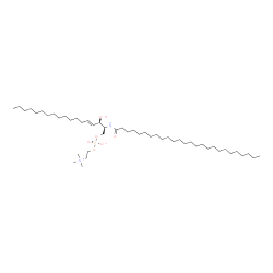 C26 Sphingomyelin (d18:1/26:0) structure
