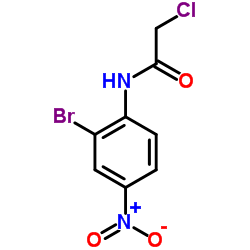 N-(2-BROMO-4-NITRO-PHENYL)-2-CHLORO-ACETAMIDE结构式