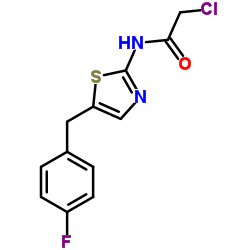 2-Chloro-N-[5-(4-fluorobenzyl)-1,3-thiazol-2-yl]acetamide Structure