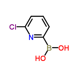 6-Chloropyridine-2-boronic acid picture
