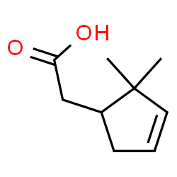 2,2-Dimethyl-3-cyclopentene-1-acetic acid结构式