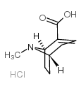 anhydroecgonine hydrochloride Structure