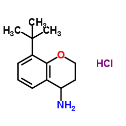 8-叔丁基苯并二氢吡喃-4-胺结构式