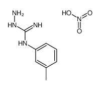 1-amino-2-(3-methylphenyl)guanidine,nitric acid Structure