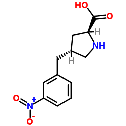 (2S,4R)-4-(3-nitrobenzyl)pyrrolidine-2-carboxylic acid结构式