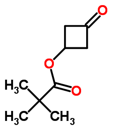 3-Oxocyclobutyl pivalate structure