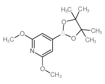 2,6-Dimethoxypyridine-4-boronic acid,pinacol ester picture