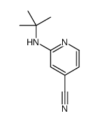 2-(tert-butylamino)isonicotinonitrile结构式