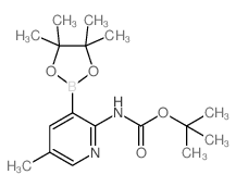 Boc-2-Amino-5-methylpyridine-3-boronic acid pinacol ester structure