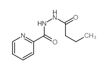 Hydrazine, 1-butyryl-2-picolinoyl- Structure