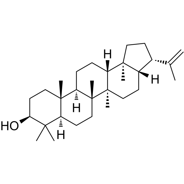 Hopa-22(29)-ene 3β-ol structure