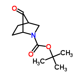 N-BOC-2-AZABICYCLO[2.2.1]HEPTAN-7-ONE picture