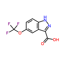 5-Trifluoromethoxyl-3-indazole-carboxylic acid picture
