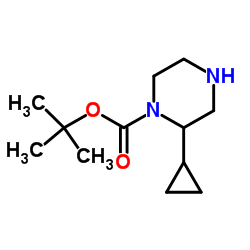 2-CYCLOPROPYL-PIPERAZINE-1-CARBOXYLIC ACID TERT-BUTYL ESTER picture