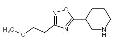 3-(2-methoxyethyl)-5-piperidin-3-yl-1,2,4-oxadiazole图片