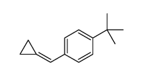 1-tert-butyl-4-(cyclopropylidenemethyl)benzene Structure