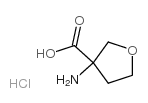 3-aminooxolane-3-carboxylic acid,hydrochloride picture