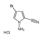1-AMINO-4-BROMO-1H-PYRROLE-2-CARBONITRILE HYDROCHLORIDE structure
