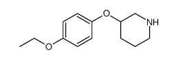 Piperidine, 3-(4-ethoxyphenoxy)结构式