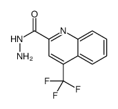 4-(trifluoromethyl)quinoline-2-carbohydrazide structure