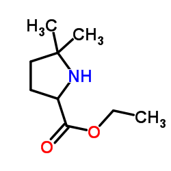 5,5-二甲基吡咯烷-2-羧酸乙酯结构式