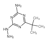 2-氨基-4-叔丁基-6-肼基-S-三嗪图片