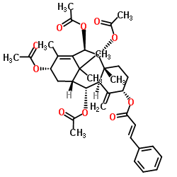 7-Deacetoxytaxinine J picture
