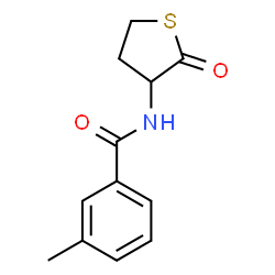 3-METHYL-N-(2-OXOTETRAHYDRO-3-THIOPHENYL)BENZENECARBOXAMIDE picture