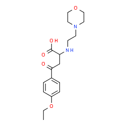 4-(4-ETHOXYPHENYL)-2-[(2-MORPHOLINOETHYL)AMINO]-4-OXOBUTANOIC ACID picture