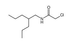 2-Chloro-N-(2-propyl-pentyl)-acetamide Structure