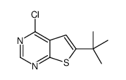 6-叔丁基-4-氯-噻吩[2,3-D]嘧啶图片