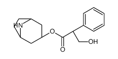 天仙子胺相关物质A结构式