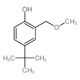 Phenol,4-(1,1-dimethylethyl)-2-(methoxymethyl)- picture
