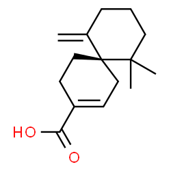 β-chamigrenic acid Structure