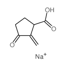 Cyclopentanecarboxylicacid, 2-methylene-3-oxo-, sodium salt (1:1) structure