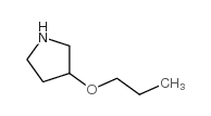 3-丙氧基吡咯烷结构式