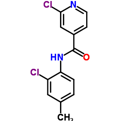 2-chloro-N-(2-chloro-4-methylphenyl)pyridine-4-carboxamide结构式