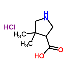 4,4-Dimethylpyrrolidine-3-carboxylic acid hydrochloride picture