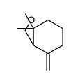 (5R)-8,8-dimethyl-4-methylidene-7-oxabicyclo[3.2.1]octane结构式