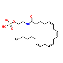 Arachidonoyl Ethanolamide Phosphate结构式