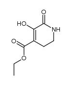 5-hydroxy-6-oxo-1,2,3,6-tetrahydropyridine-4-carboxylic acid ethyl ester Structure