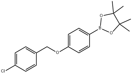 4-(4-氯苄氧基)苯基硼酸频哪醇酯结构式