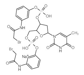 3'-Thymidylic acid,5'-O-[[3-[(bromoacetyl)amino]phenoxy]hydroxyphosphinyl]-,mono[3-[(bromoacetyl)amino]phenyl] ester, disodium salt (9CI) Structure