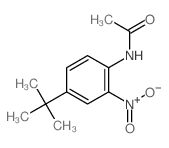 Acetamide,N-[4-(1,1-dimethylethyl)-2-nitrophenyl]- structure