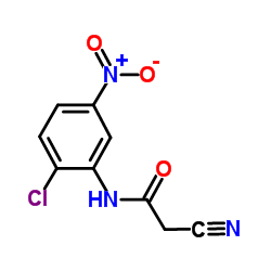 N-(2-Chloro-5-nitrophenyl)-2-cyanoacetamide结构式