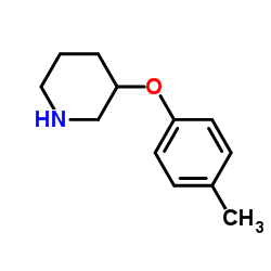 3-邻-甲苯氧基哌啶结构式