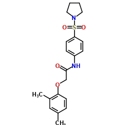 2-(2,4-Dimethylphenoxy)-N-[4-(1-pyrrolidinylsulfonyl)phenyl]acetamide结构式