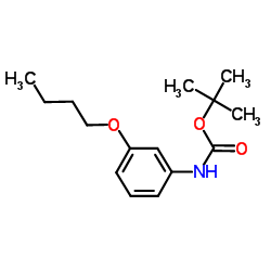 2-Methyl-2-propanyl (3-butoxyphenyl)carbamate Structure