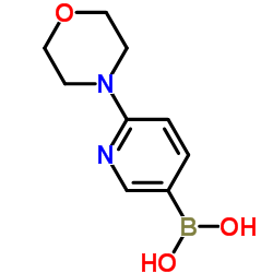 [6-(4-Morpholinyl)-3-pyridinyl]boronic acid picture